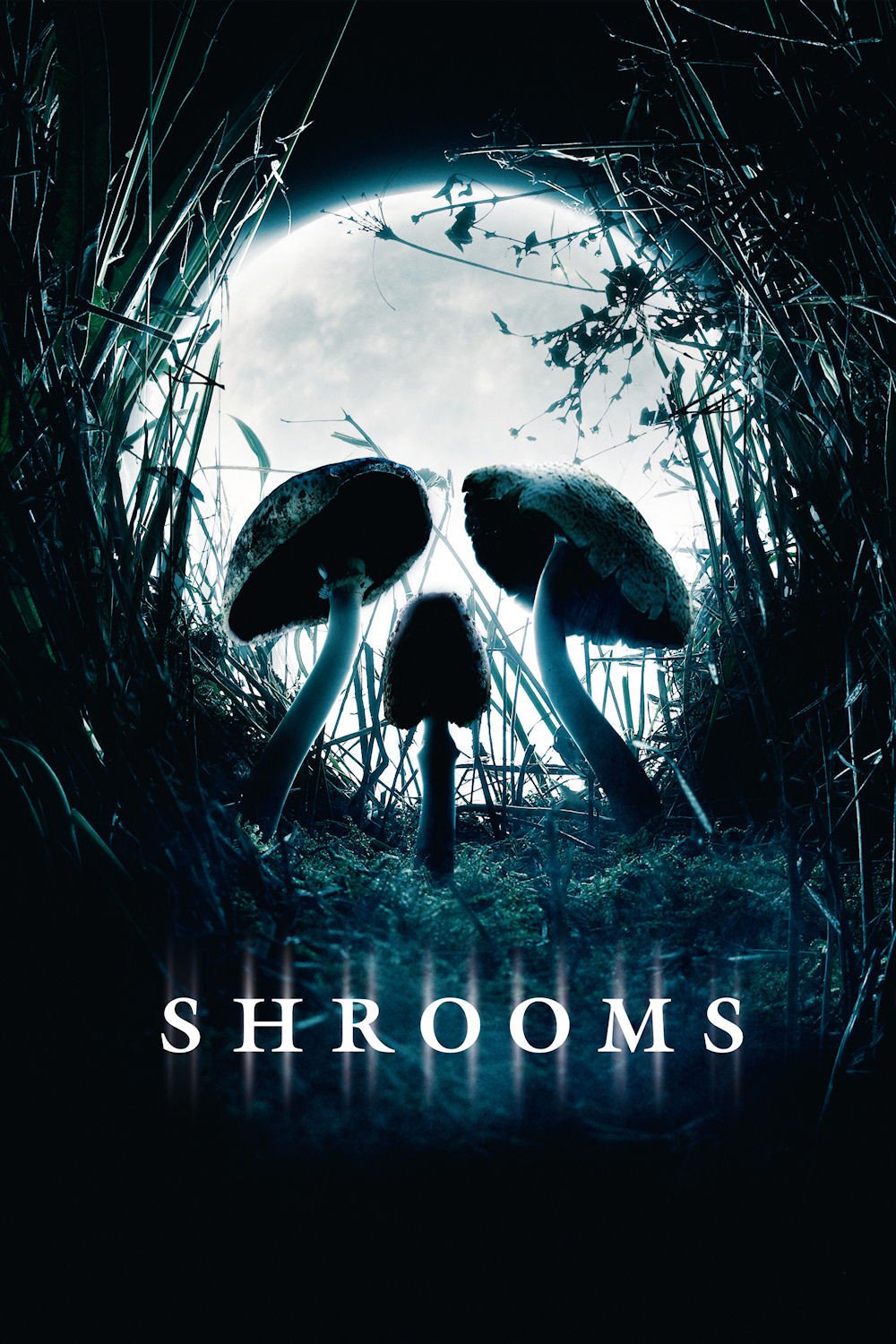 Plakat von "Shrooms – Im Rausch des Todes"