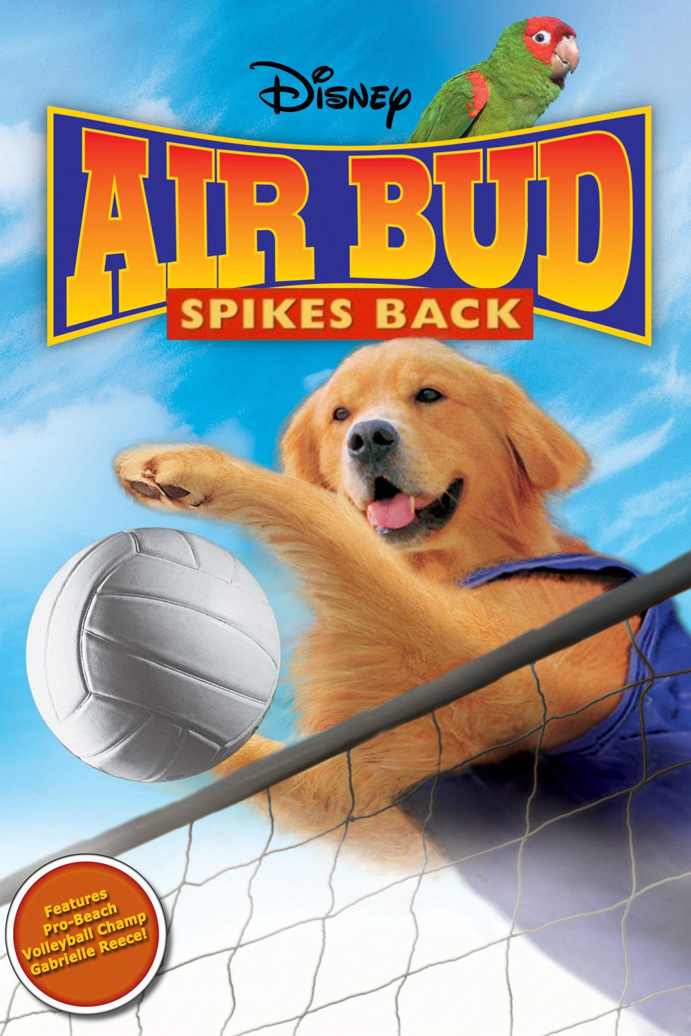 Plakat von "Air Bud 5 - Vier Pfoten schlagen auf"