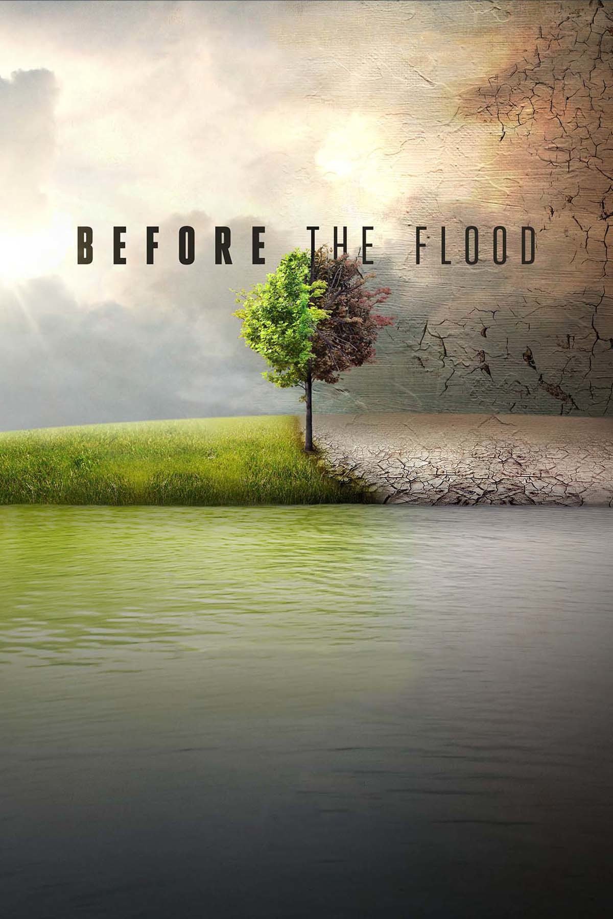 Plakat von "Before the Flood"