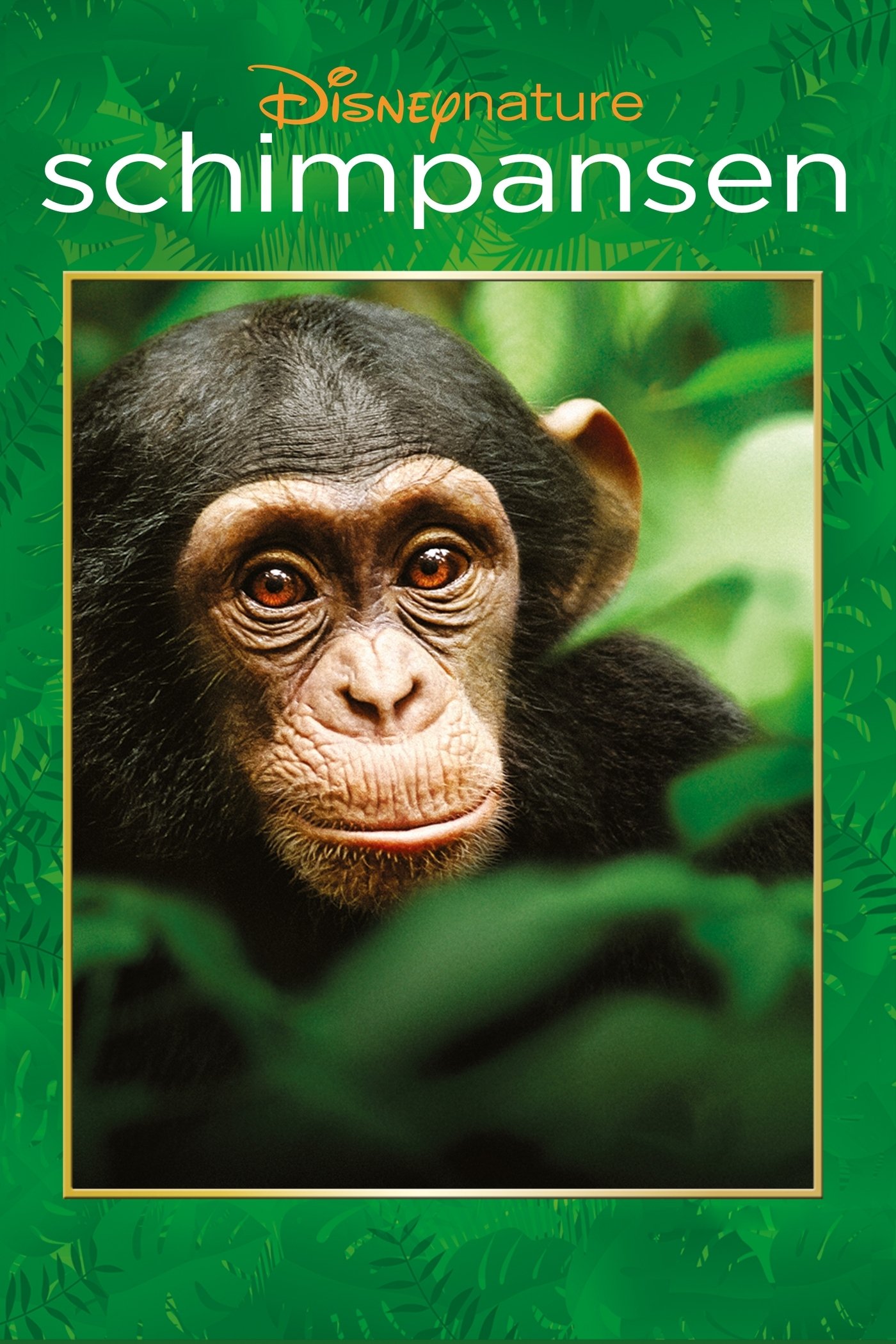 Plakat von "Schimpansen"