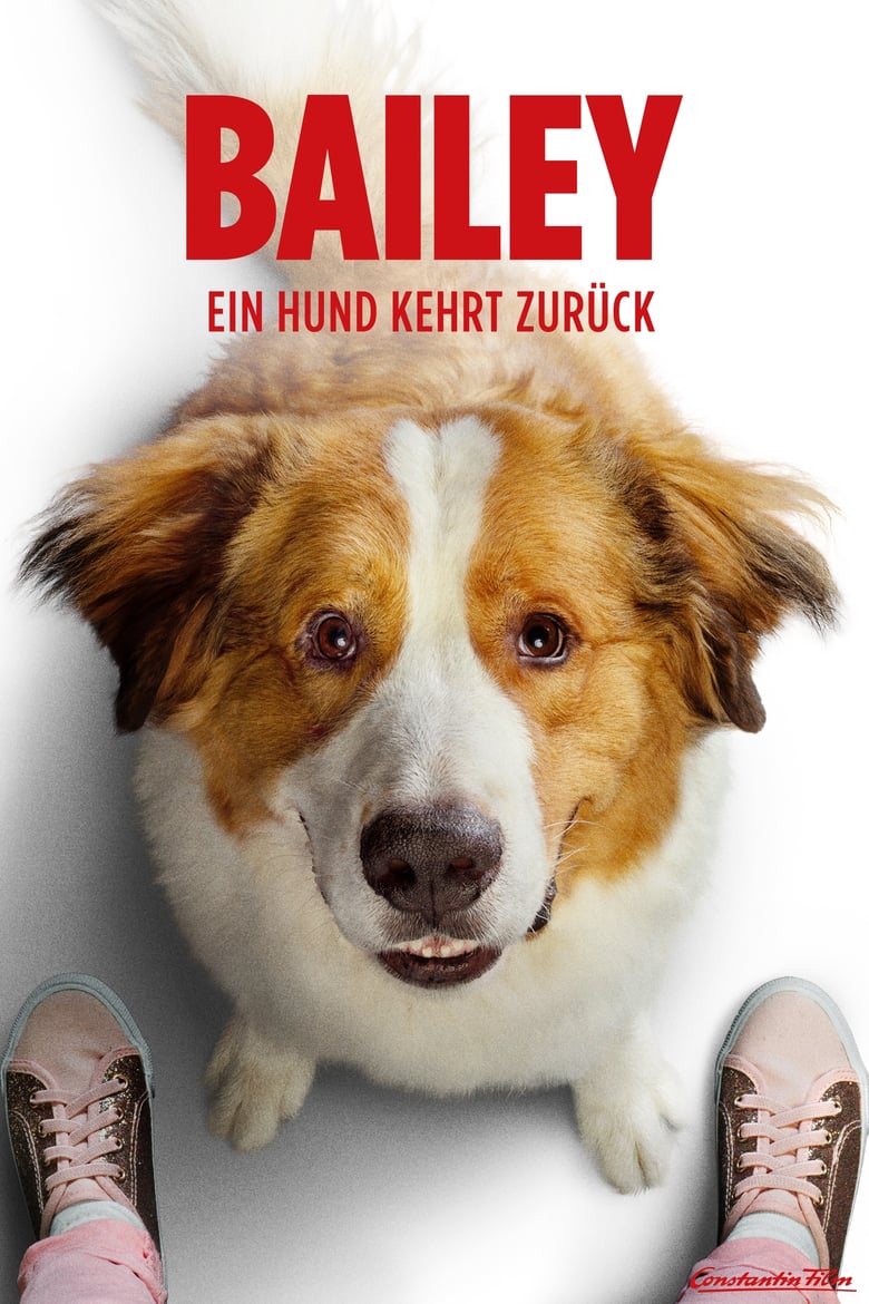 Plakat von "Bailey - Ein Hund kehrt zurück"